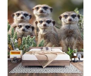 Fotomurales XL 250x175 cm Familia De Suricatas Animales Impermeable Papel Pintado Tejido no Tejido De Color Claro Decoración de Pared Moderna Murales para Pared Salón Cocina Baño Pasillo Comedor