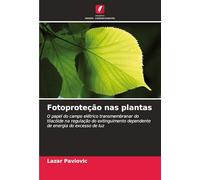 Fotoproteção nas plantas: O papel do campo elétrico transmembranar do tilacóide na regulação do extinguimento dependente de energia do excesso de luz