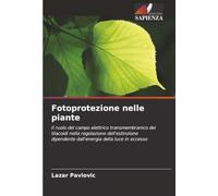 Fotoprotezione nelle piante: Il ruolo del campo elettrico transmembranico dei tilacoidi nella regolazione dell'estinzione dipendente dall'energia della luce in eccesso
