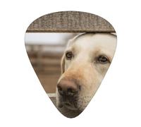 Fotos de Labrador Retriever,12 púas de guitarra, 3 grosores diferentes para guitarra acústica, bajo y ukelele