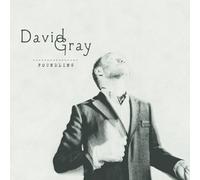 Foundling by David Gray (2010-08-17)
