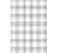 Fountain 102142850 foolscap firma de arco, 80 g/m², A4, escuela - Lin. 28, 50 hojas