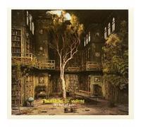 FOUNTAINS OF WAYNE - Sky Full of Holes