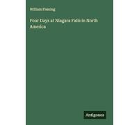 Four Days at Niagara Falls in North America