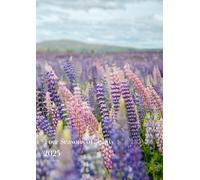 Four Seasons of Beauty: 2025 Calendar with Monthly Notes & To-Do Sections