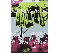 Four Years in One Gulp [Italia] [DVD]