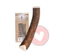 FOURLEGS® Asta Natural de Ciervo para Perro - Minerales, Juguete con Sabor a Venado, Huesos Mordedor - Tamaño M Entero