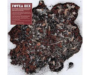 Fovea Hex - The Salt Garden (Landscaped)