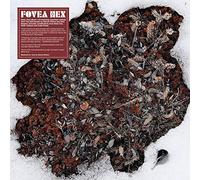 Fovea Hex - The Salt Garden (Landscaped) [Vinilo]