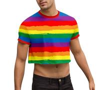 Foweknow Crop Top Hombre Pride Outfit LGBTQ Pride Rainbow Camiseta musculosa Arco Iris Gay CSD Fiesta Running Camiseta sin Mangas Transpirable Ligera Camiseta de Tirantes Fitness Bodybuilding