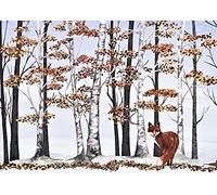 Fox and Birches Holiday Cards