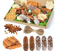 Fox·Bunny 56 coronas de Navidad, accesorios para corona de Adviento, rodajas de naranja secas, rodajas de manzana, palitos de canela, anís estrellado, pentagrama, piñas, musgo para corona de Adviento,