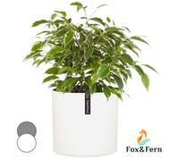 Maceta Venlo de polystone para interior y exterior 3 tamaños Fox & Fern