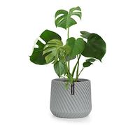 Fox & Fern Macetero, Maceteros Decorativos Interior, Macetas Exterior Grandes, Una Maceta Grande Plantas y Flores Resistente a Rayos UV y Heladas, Maceteros Exterior Tapón de Drenaje, Polystone