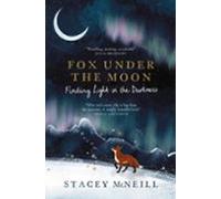 fox under the moon: finding light in the darkness