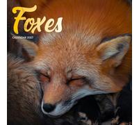 Foxes Calendar 2027: Woodland Wildlife and Forest Trails