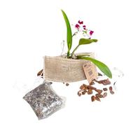 Foxflorest Kit de Tiestos para Orquídeas - Hecho a Mano en Brasil - Macetas Colgantes Naturales para Árboles e Interiores - Regalo para Amantes de Las Plantas y Actividad Familiar