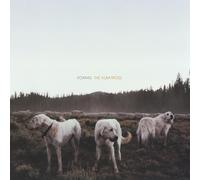 Foxing - The Albatross