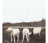 FOXING - THE ALBATROSS: TEN YEARS (BROWN) [Vinilo]