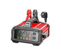 FOXSUR 25A/15A Car Battery Charger for 12V-24V Motorcycle Lead Acid AGM GEL LiFePo4 Battery Car Booster Pulse Repair EU PLUG