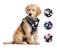 Foxyep Arnés de chaleco para perro sin tirones con 2 clips de correa con mango de fácil control, correa reflectante para caminar, ajuste cómodo para cachorros y gatos, arnés transpirable sin estrangulamiento para mascotas (pequeño, rosa rosa)