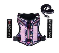 Foxyep Arnés táctico para Perros, Chaleco MOLLE para Perros medianos, sin tirones, arnés Ajustable para Mascotas, Correa Reflectante con Correa para Perro (M, Azul Floral)