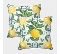 FPAKAKIIE Limón Fundas Cojines Decorativa Juego De 2 Fruits Funda De Almohada Funda De Cojín 3D Mejor Amigo 40x40cm