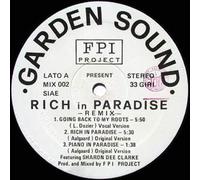 Fpi Project - Rich in Paradise/Back to My Roots Remix 1994 [Vinilo]