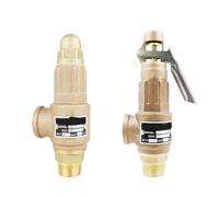 FPJQOBJC Válvula de Seguridad de Bronce y latón S10 S10L DN40 DN50 válvula de Alivio de presión de Rosca de Cobre Llena usable de 1,2 Pulgadas con Mango(2bar,DN50_S10L)