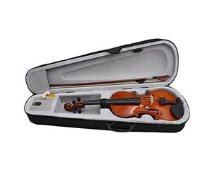 FPT Violín de madera: violín de extensión de madera, violín de entrenamiento para principiantes