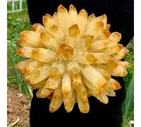 FQHIDMOMX Decorative Ornaments Yellow Tibetan Quartz Crystal Cluster (Size : 300-350g)