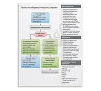 FQHIDMOMX Obstetric Emergency Poster Cardiac Arrest in Pregnancy Management Guide Canvas Print for Office Nursing School Training(Framed,12x18inch(30x45cm))