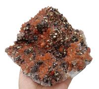 FQHIDMOMX Stone Chalcopyrite Symbiosis Red Crystal Cluster Quartz Home Decoration(Size:800-900g)