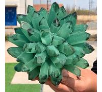 FQHIDMOMX Stone Green Phantom Quartz Crystal Cluster Furniture Office Ornaments Birthday Gift(250-300g)