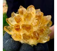 FQHIDMOMX Stone Yellow Phantom Quartz Crystal Cluster (300-350g)