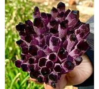 FQHIDMOMX Violet Ghost Phantom Quartz Crystal Cluster 1pcs Ornaments (Size : 400-500g)