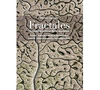 Fractales: Anatomía íntima de la marisma