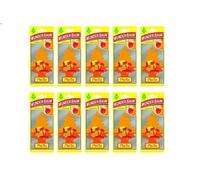 Fragancia para coches WUNDER BAUM 23-150