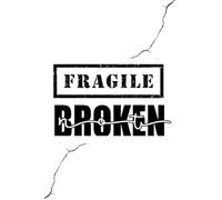 Fragile Not Broken Journal
