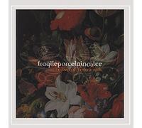 Fragile Porcelain Mice - Best of Modern Rock