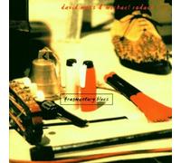 Fragmentary Blues by Michael Rodach & David M