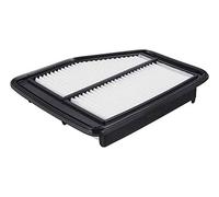 FRAM CA11113 Extra Guard Panel Air Filter