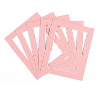 Frame Company - Juego de 10 paspartús, Rosa, 12x10 for Image Size 8x6
