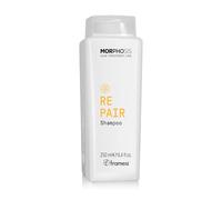 Framesi | New Morphosis Hair Treatment Line | Repair Shampoo 250ml