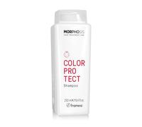 Framesi Champú Morphosis Color Protect – Protección de color – 250 ml