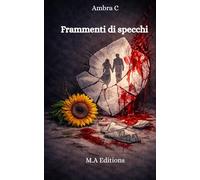 FRAMMENTI DI SPECCHI