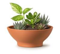FRANCACOR Maceta Barro Natural Terracota Baja Redonda con PIE (Terrina Barro) (31 X 12 CMS)
