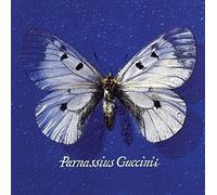 Francesco Guccini – Parnassius Guccinii – Vinilo (2025)
