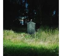 Frank Carter & The Rattlesnakes Dark Rainbow (Vinyl) 12" Album