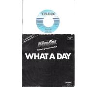 FRANK DUVAL featuring Peter Bischof / Aus der TV-Serie "Mensch, Bachmann" / WHAT A DAY / FADE OUT / 1984 Bildhülle / TELDEC # 6.14 236 / Deutsche Pressung / 7" Vinyl Single Schallplatte